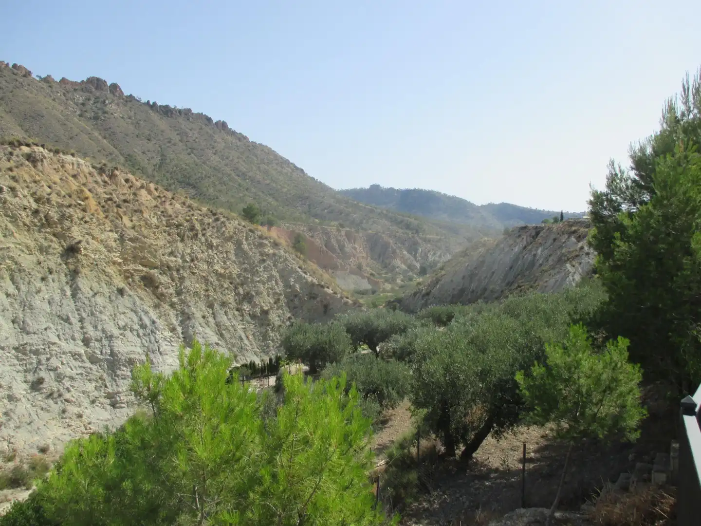 Vista exterior de Finca rústica en venta en Ricote con Aire acondicionado, Calefacción y Jardín privado
