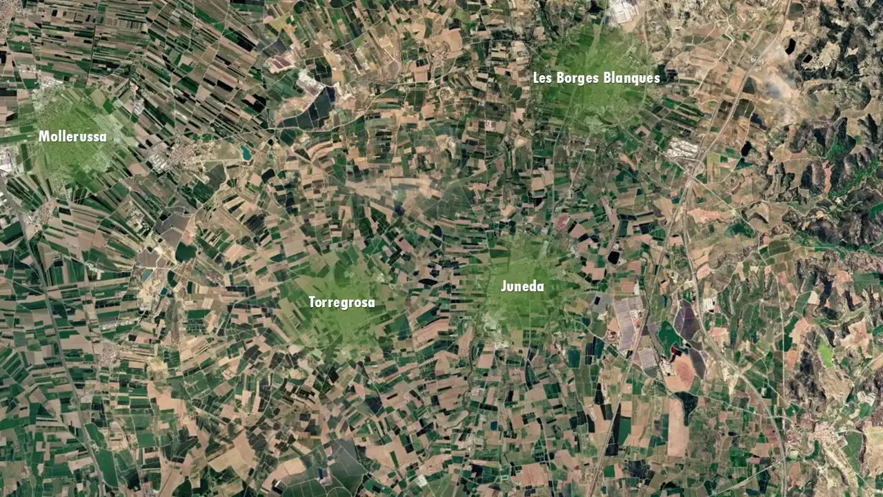 Büro zum Verkauf in Torregrossa