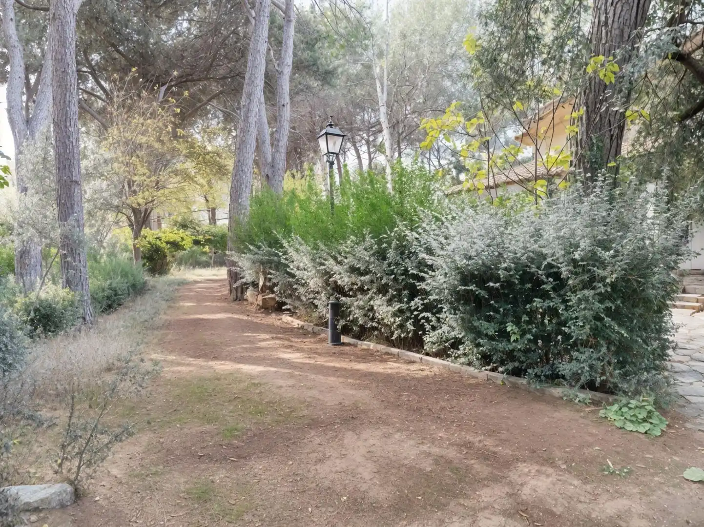 Chalet con piscina en venta en Pedanías - Extrarradio, imagen 51