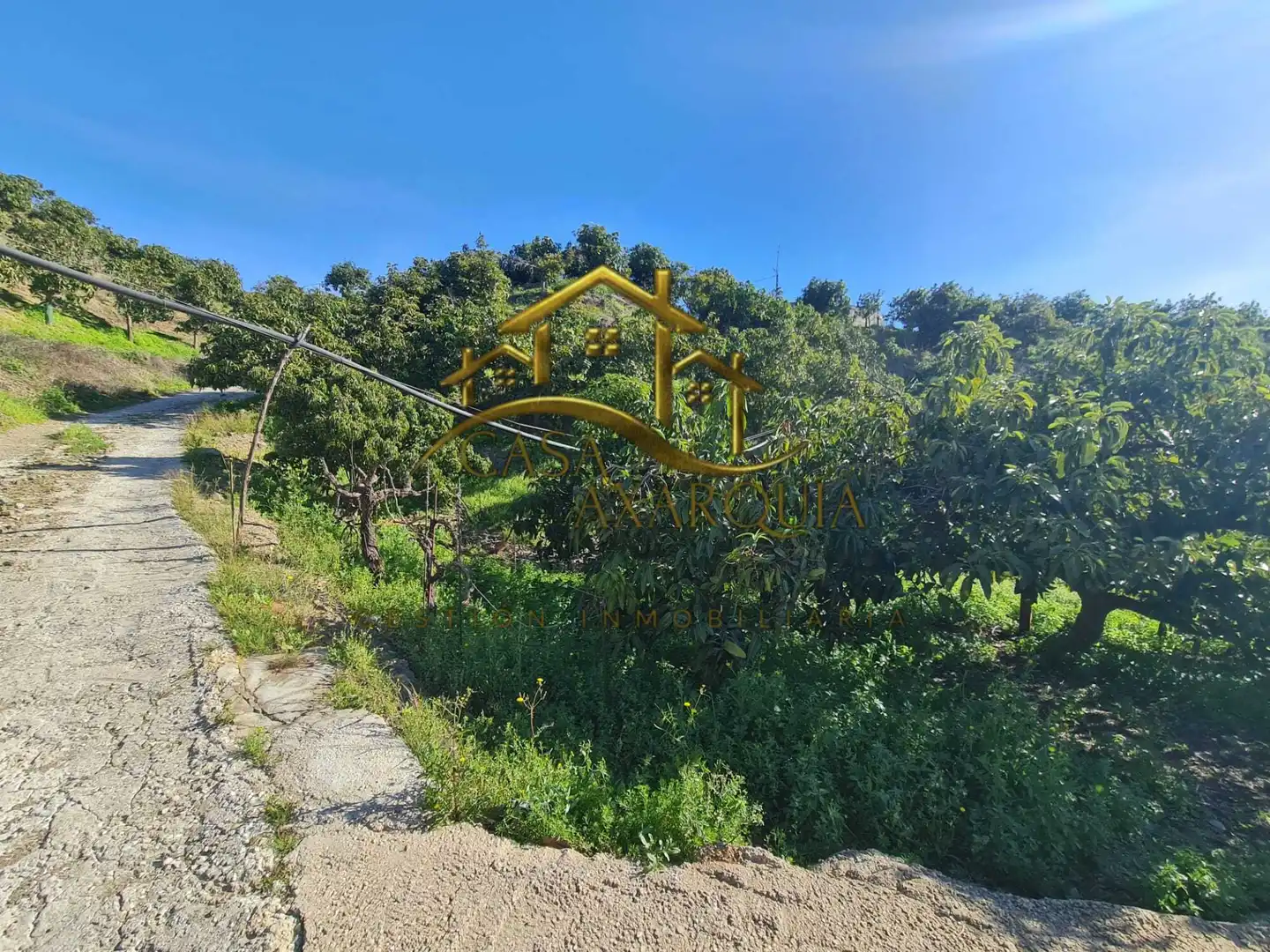 Casa rustica in vendita a Diseminado Atalaya Baja, imagen 33