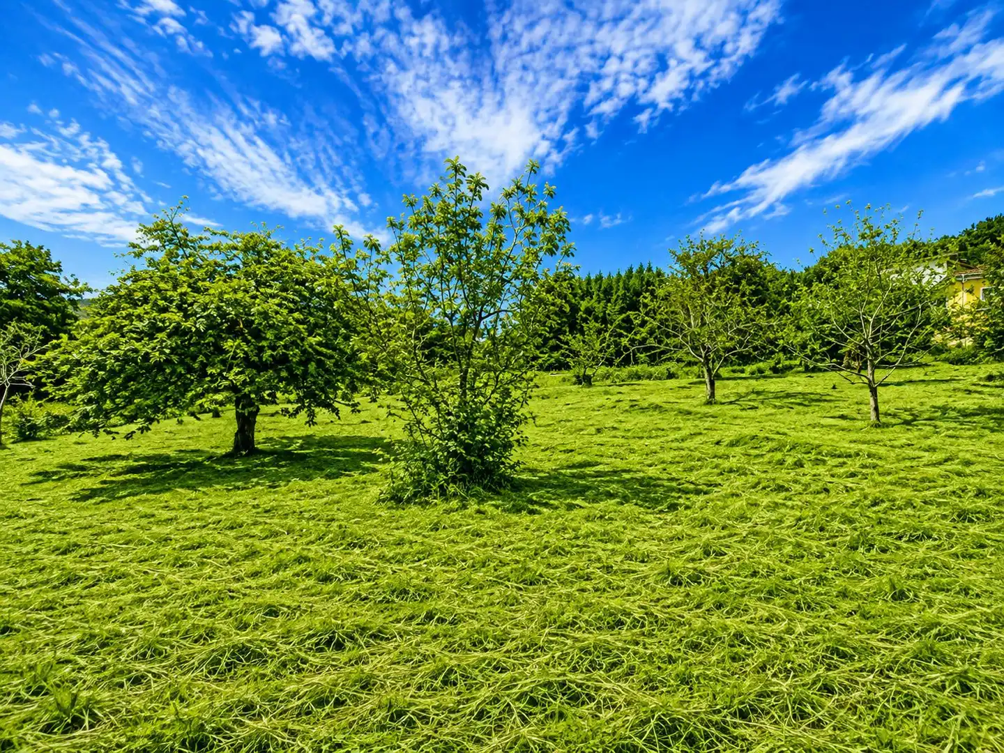 Residential land for sale in Grado, imagen 11
