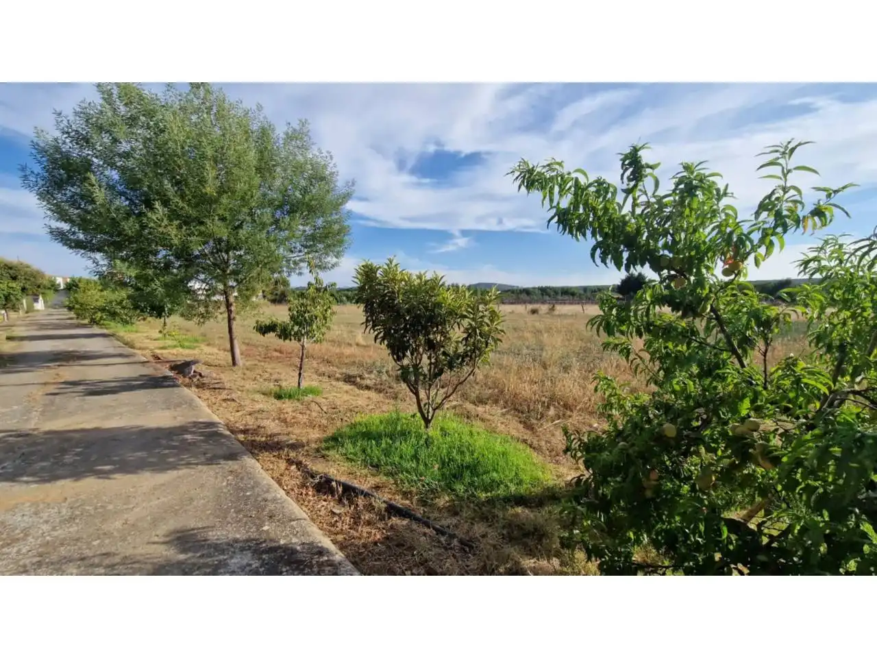 Casa o chalet en venta en Ciudad Rodrigo con Jardín privado, Terraza y Piscina