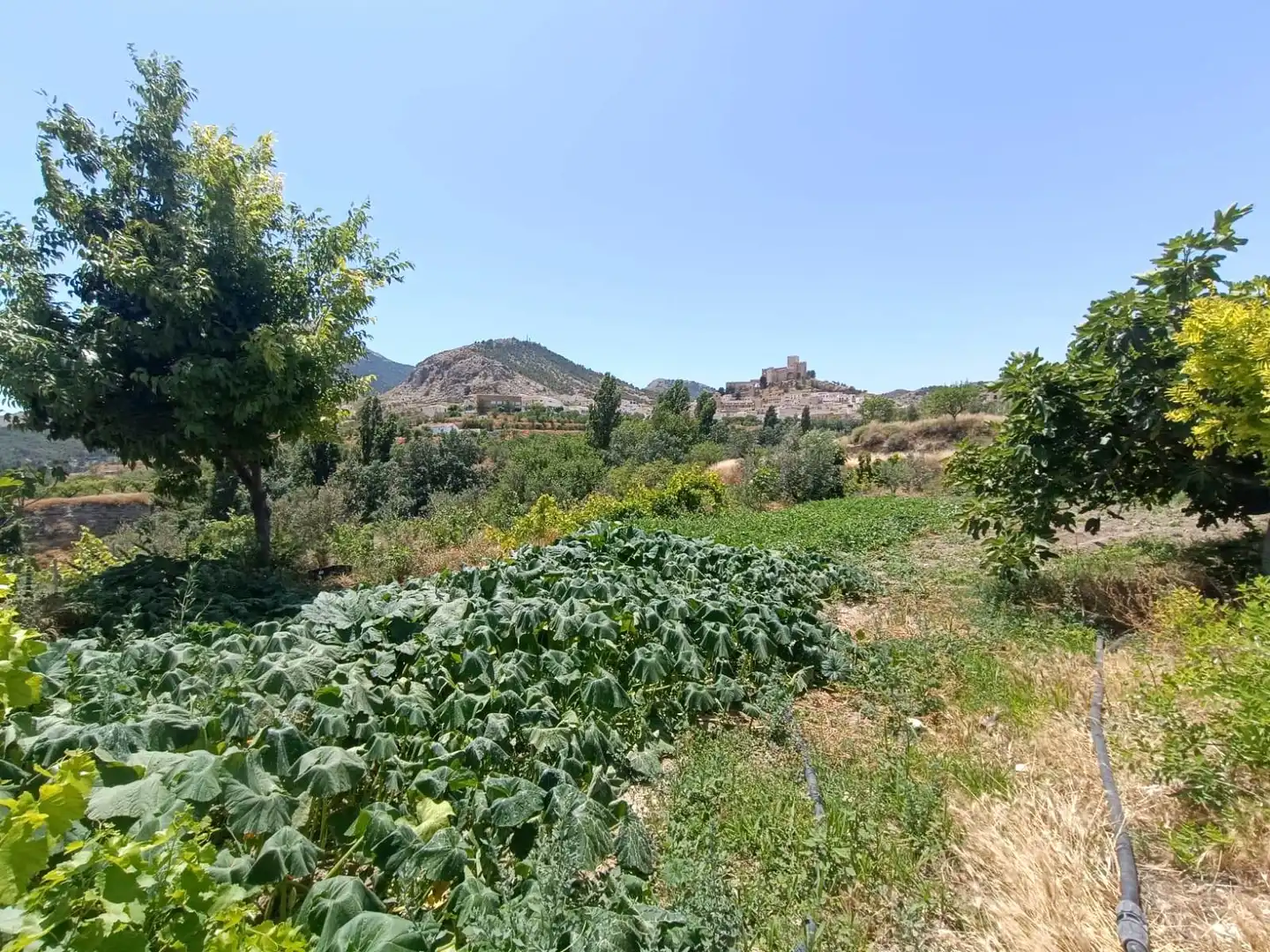 Finca rústica en venta en Vélez-Blanco con Aire acondicionado, Jardín privado y Terraza
