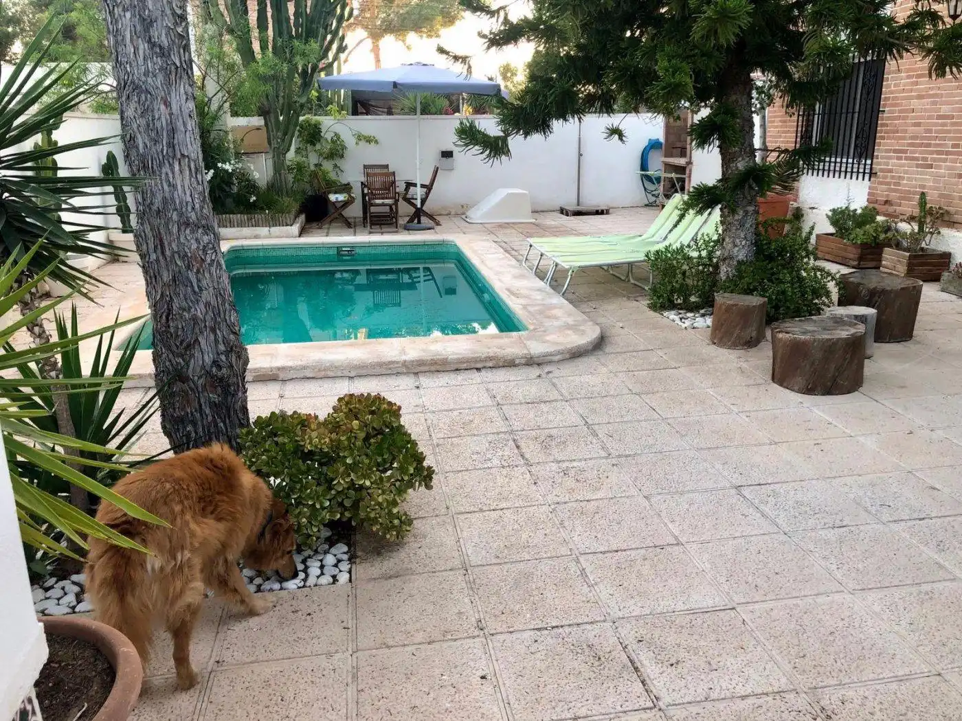 Piscina de Casa adosada en venta en Pilar de la Horadada con Calefacción, Jardín privado y Trastero