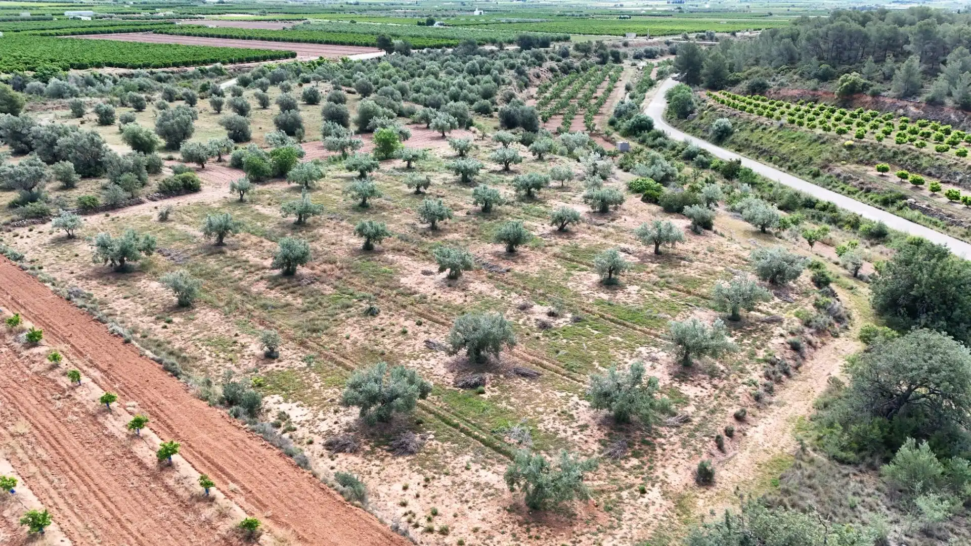 Terrain rustique à vendre à Urbanizaciones