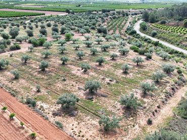 Terrain rustique à vendre à Urbanizaciones