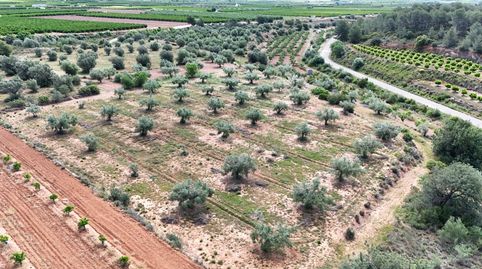 TERRENO RUSTICO