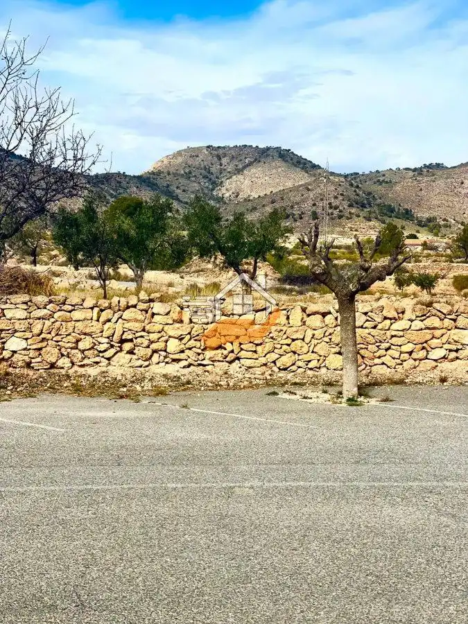 Industrial building for sale in Abanilla, imagen 5