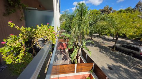 Foto 3 de Piso en venta en Carrer de Gernika, La Marina del Port, Barcelona Capital