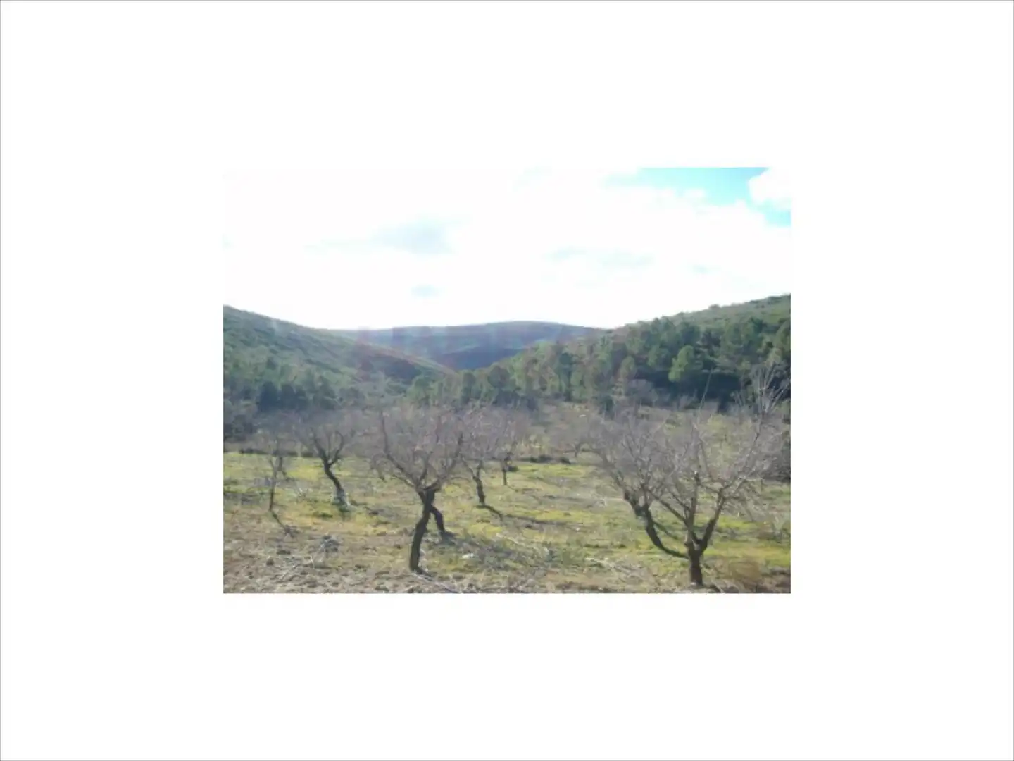 Terrain rustique à vendre à Riba-roja de Túria, imagen 4