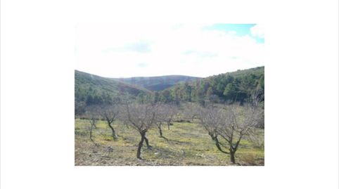Finca de regadio en ribaroja, 40 hanegadas, immagine 4