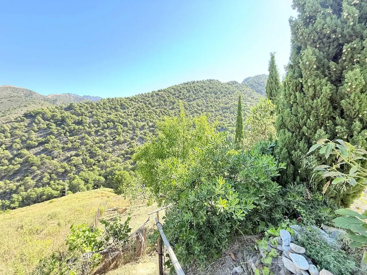 Jardí de Casa o xalet en venda en Frigiliana amb Aire condicionat, Calefacció i Jardí privat