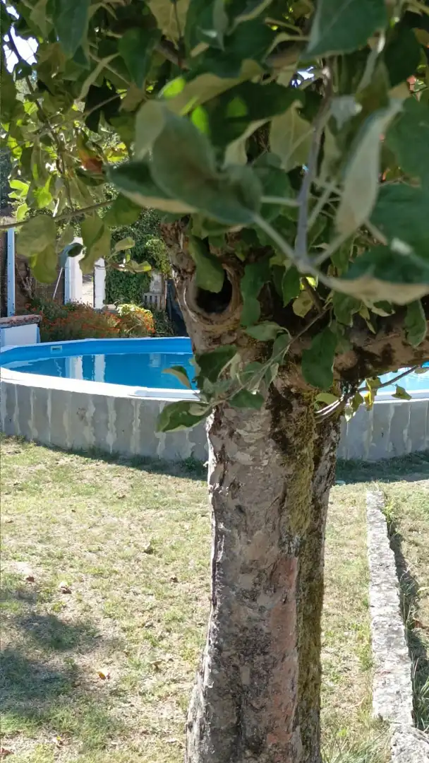 Haus zum Verkauf in Rúa Gabino Bugallal, imagen 70