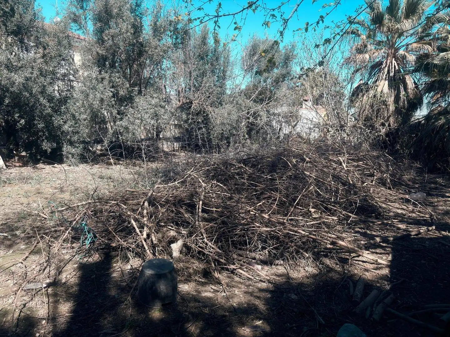 Terreny rústic en venda a Pedanías Norte, imagen 12