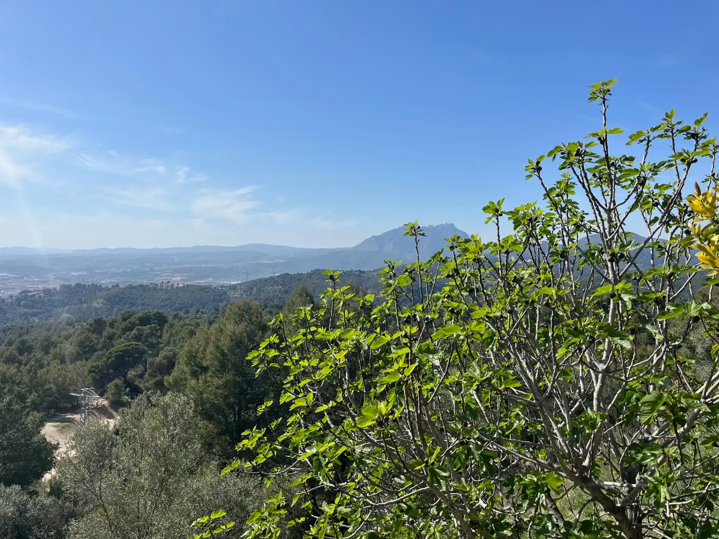 Vista exterior de Casa adosada en venda en Ullastrell amb Aire condicionat, Calefacció i Jardí privat