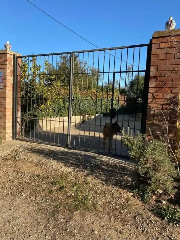 Vista exterior de Casa o xalet en venda en Flix amb Jardí privat, Terrassa i Traster