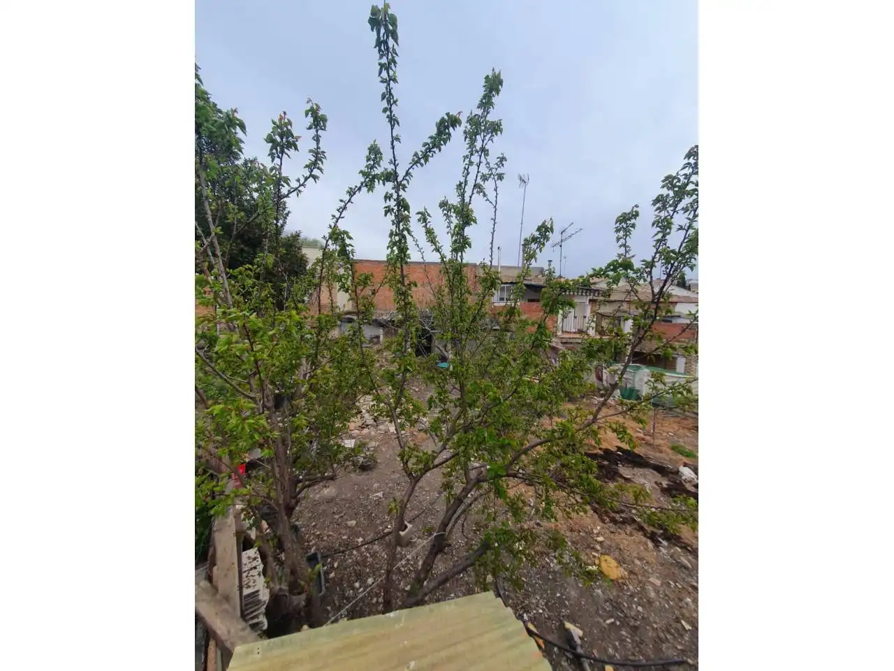 House with garden for sale in Úbeda, imagen 32