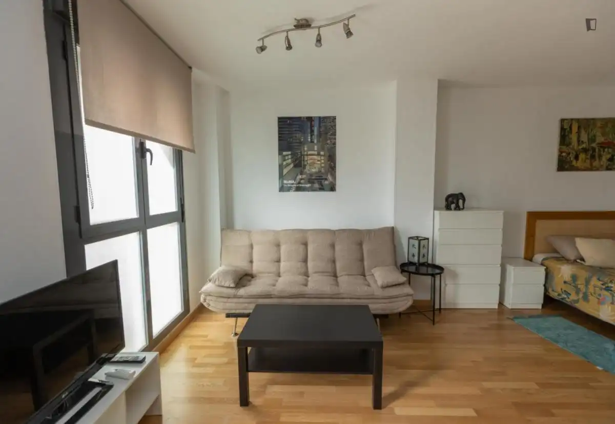 Wohnung zur Miete in Madrid, Madrid