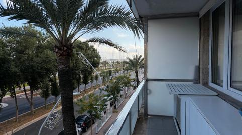 Photo 3 of Apartment to rent in Gabriel Roca, El Terreno, Illes Balears