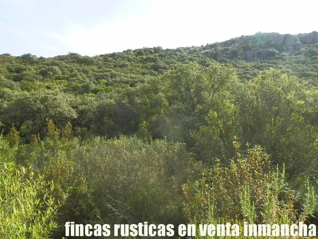 Terreny rústic en venda a Alcolea de Calatrava, imagen 4
