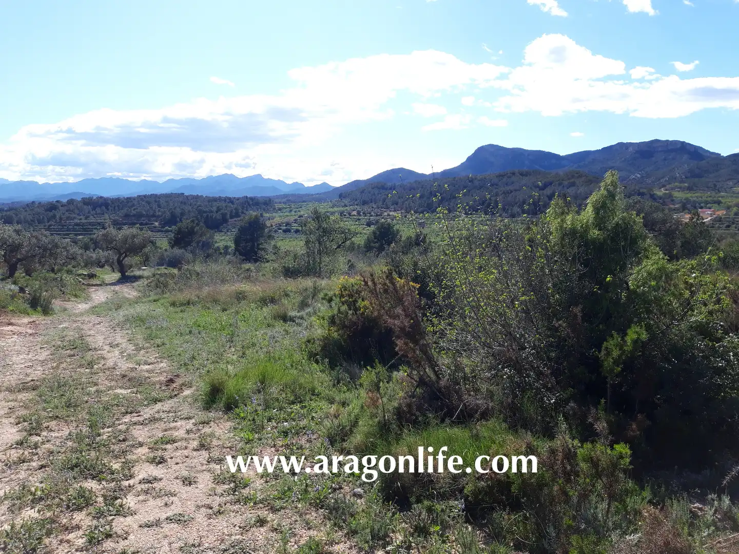 Rural land for sale in C-43