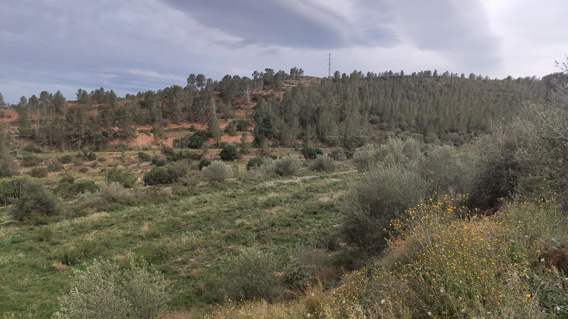Finca rústica en venda en Xerta
