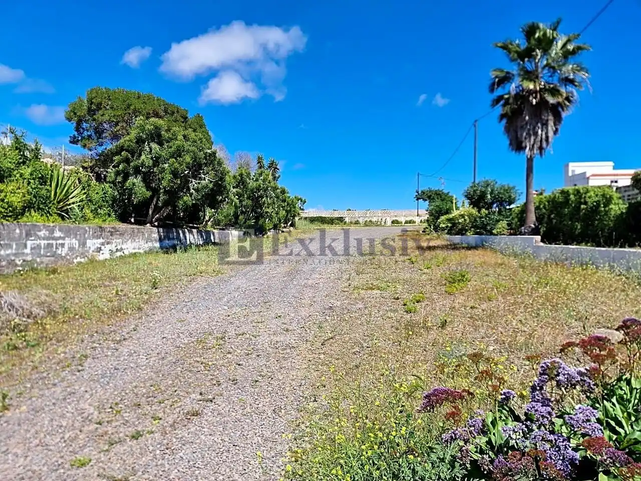 Finca rústica en venta en TF-61, Centro