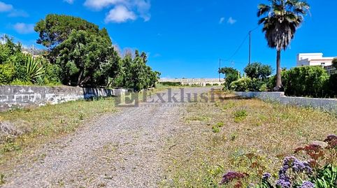 Foto 3 de Finca rústica en venta en Tf-61, Centro, Güímar