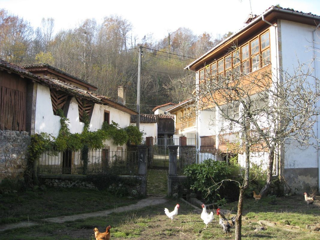 Vista exterior de Finca rústica en venta en Cangas de Onís con Jardín privado