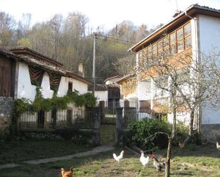 Exterior view of Country house for sale in Cangas de Onís  with Private garden
