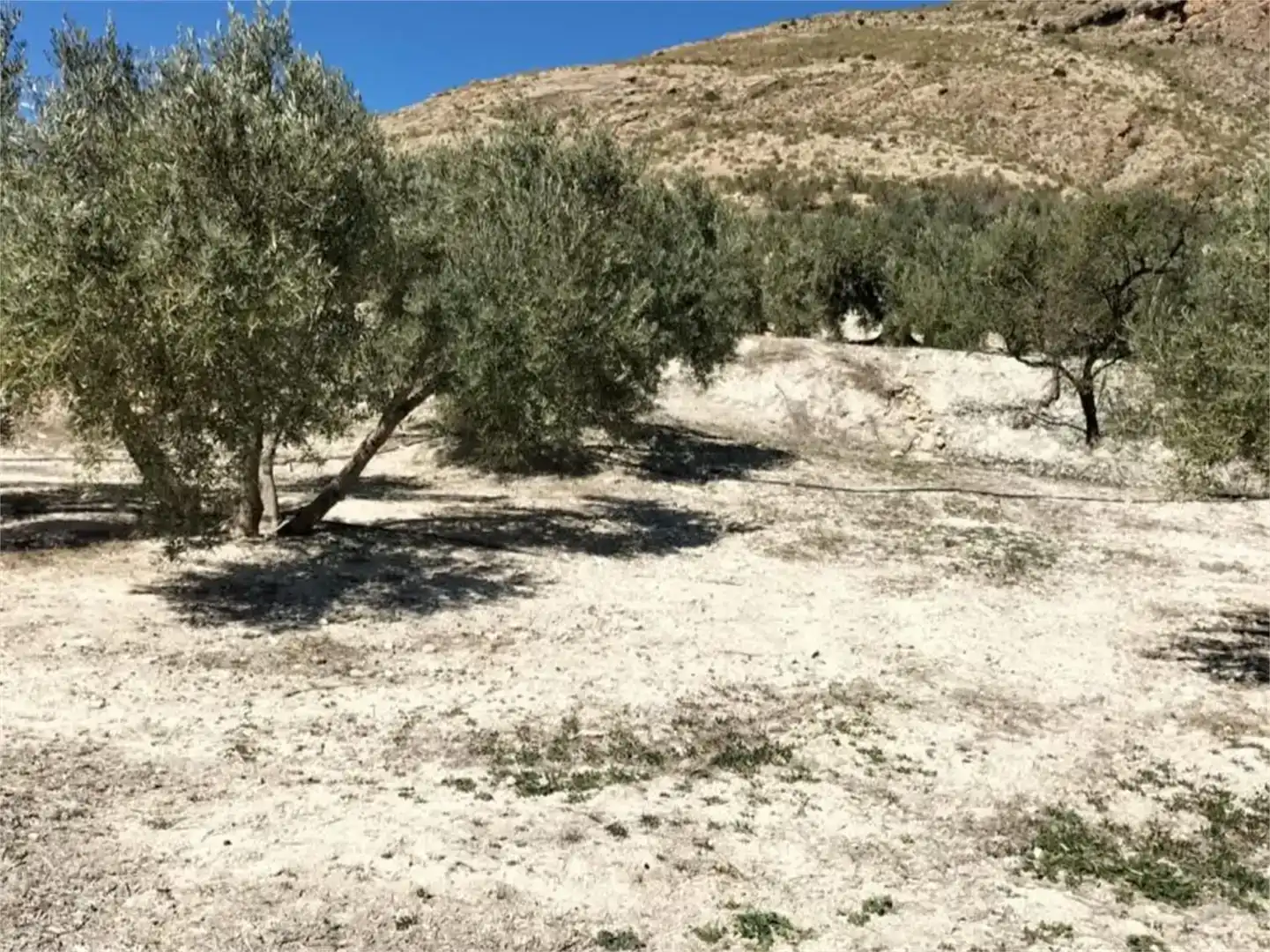 Terreno en venta en Huesa