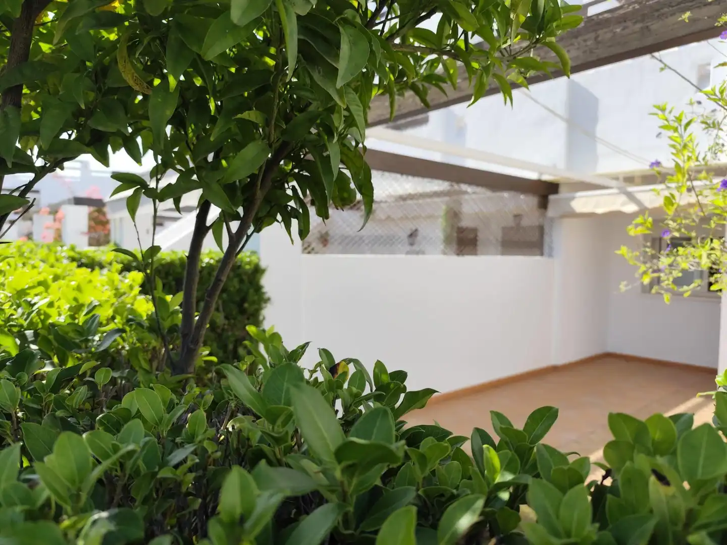 Bungalow avec terrasse à vendre à Bulevar 5-6(CONDADO DE ALHAMA), imagen 23