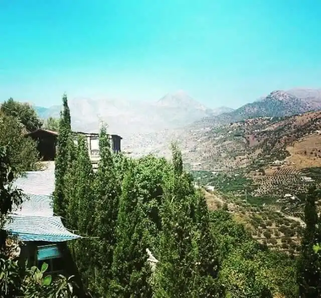 Finca rústica de alquiler en DS PAGO ALCAHUETE Polígono 12, Torrox Pueblo