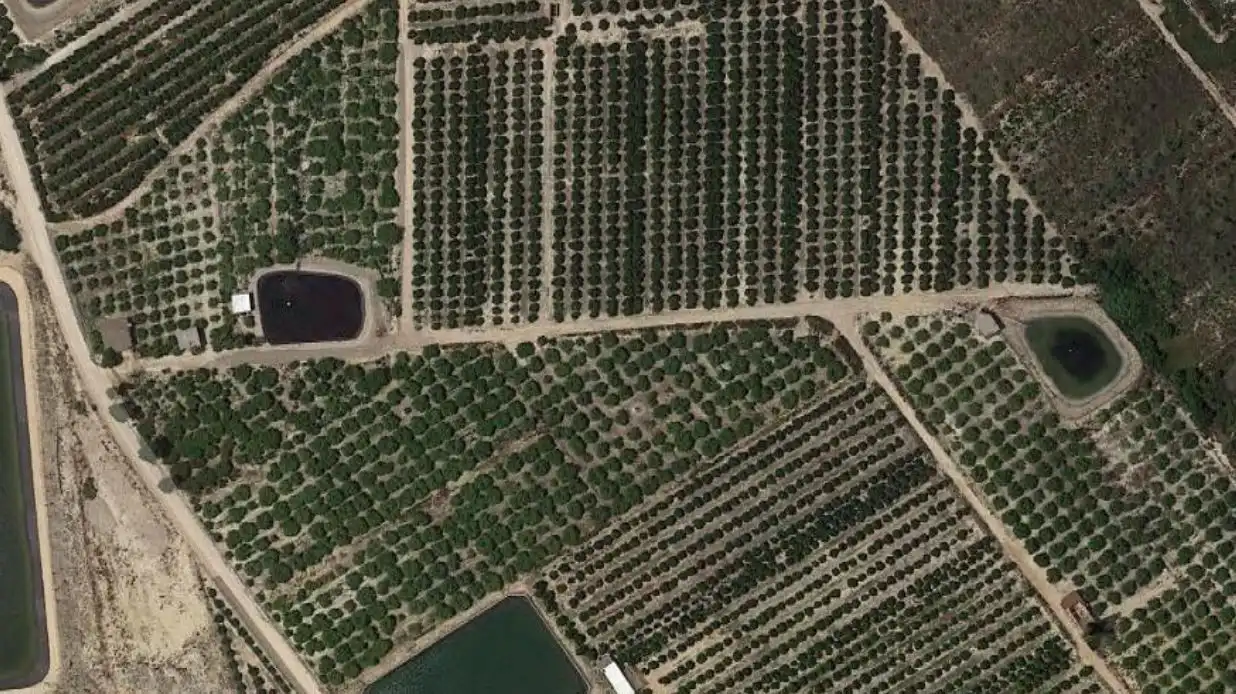 Casa rústica amb jardí en venda a San Miguel de Salinas, imagen 9