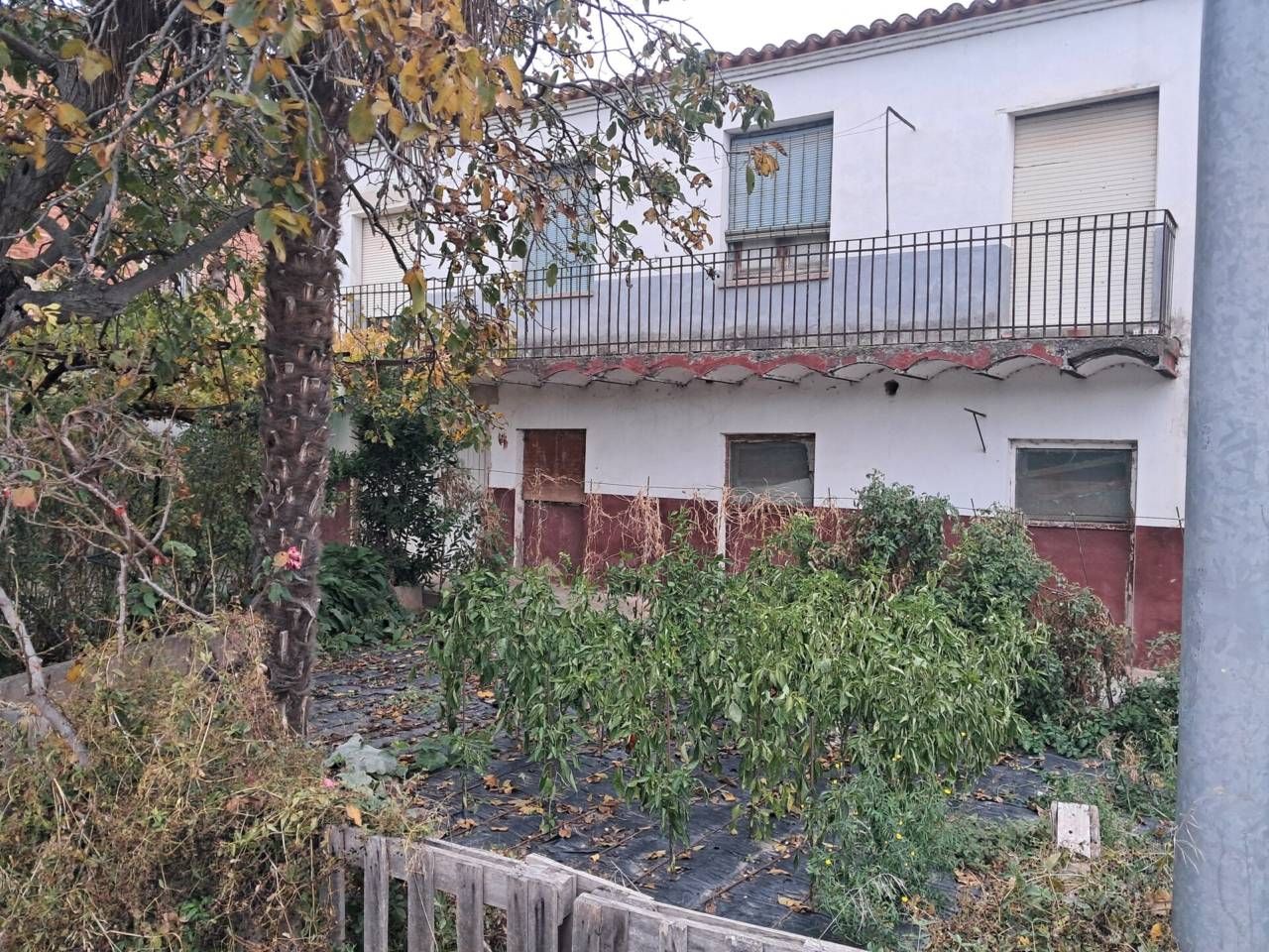 Vista exterior de Finca rústica en venta en Clavijo con Jardín privado y Terraza