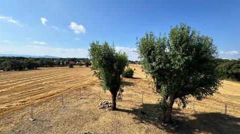 Foto 5 de Finca rústica en venta en  Lugar Cal Rei, Caldes de Malavella, Girona