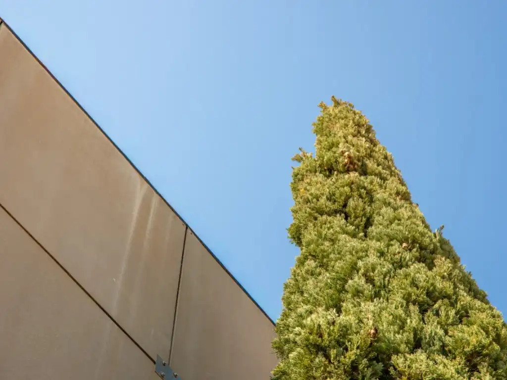 Vista exterior de Casa o xalet en venda en Sant Joan d'Alacant amb Aire condicionat, Terrassa i Piscina