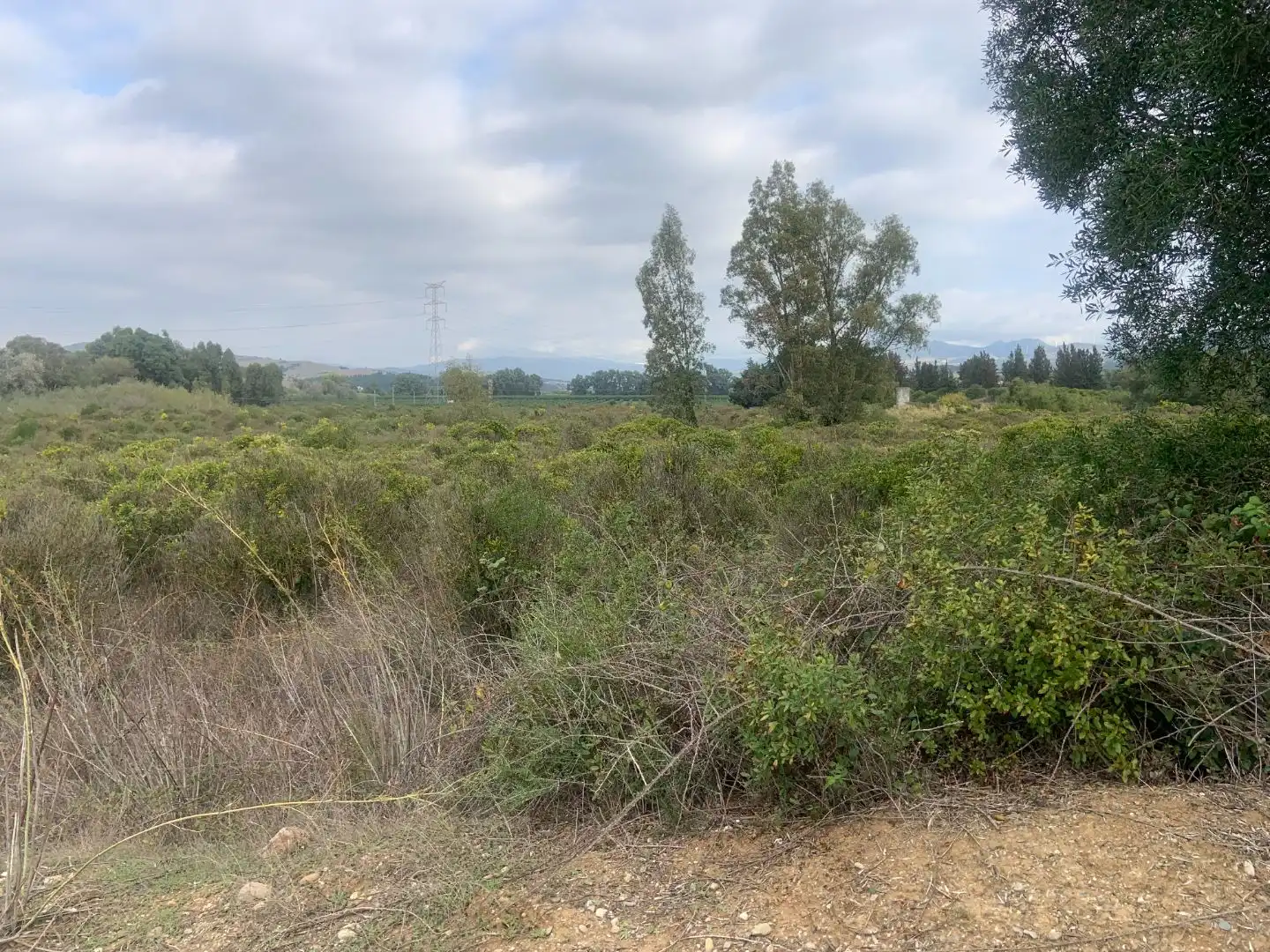 Terreno en venta en Casares