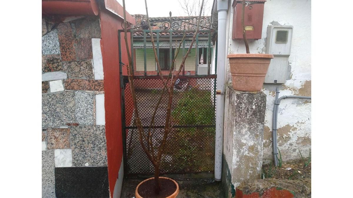 Casa o xalet en venda a FONTORIA, 15, Lada