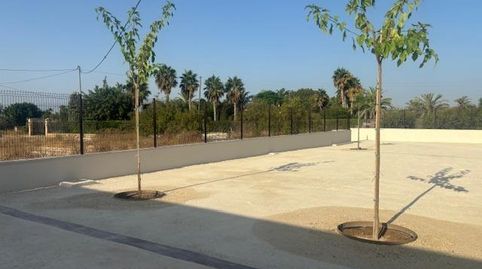 Foto 5 de Casa o xalet de lloguer a Algorós - El Derramador, Elche / Elx