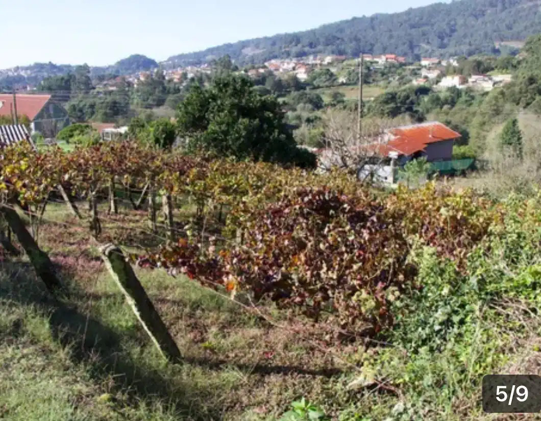 Wohnbaugrundstück zum Verkauf in RÚA COUSO 16, imagen 5