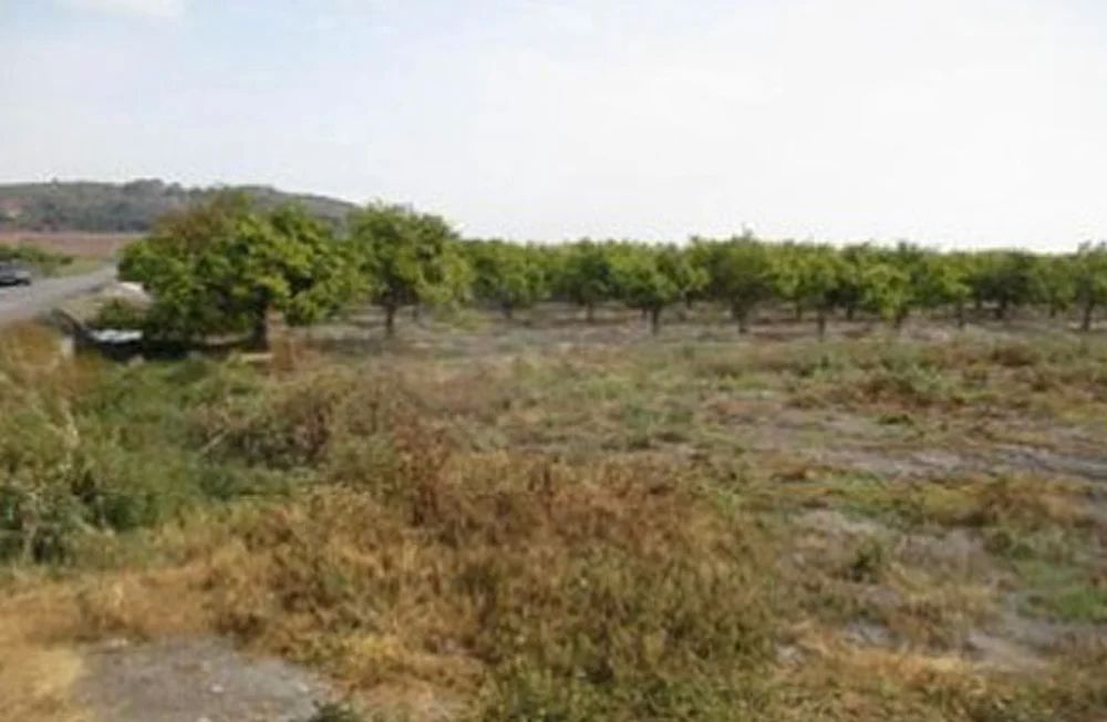 Terreno en venta en Almenara