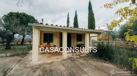 Foto 5 de Finca rústica en venda a Vilanova d'Alcolea, Castellón