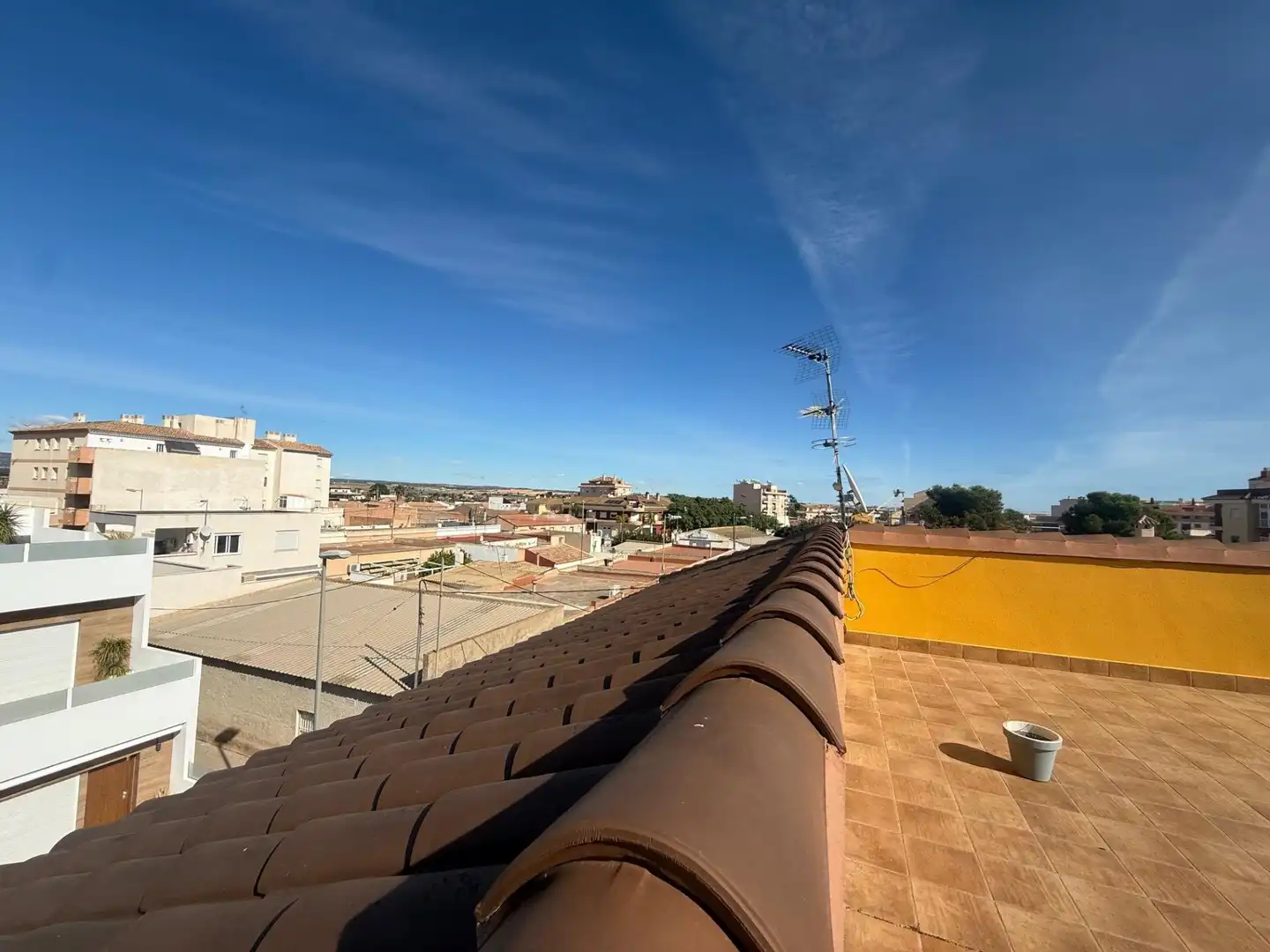 Vista exterior de Finca rústica en venta en Murcia