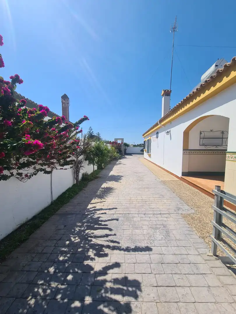 Villa mit Pool zur Miete in Carril El Mudito 10, imagen 6