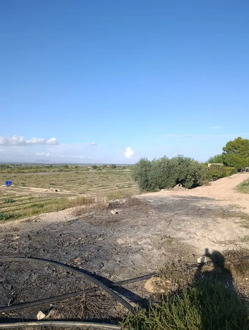 Terrain rustique à vendre à La Marina, imagen 23