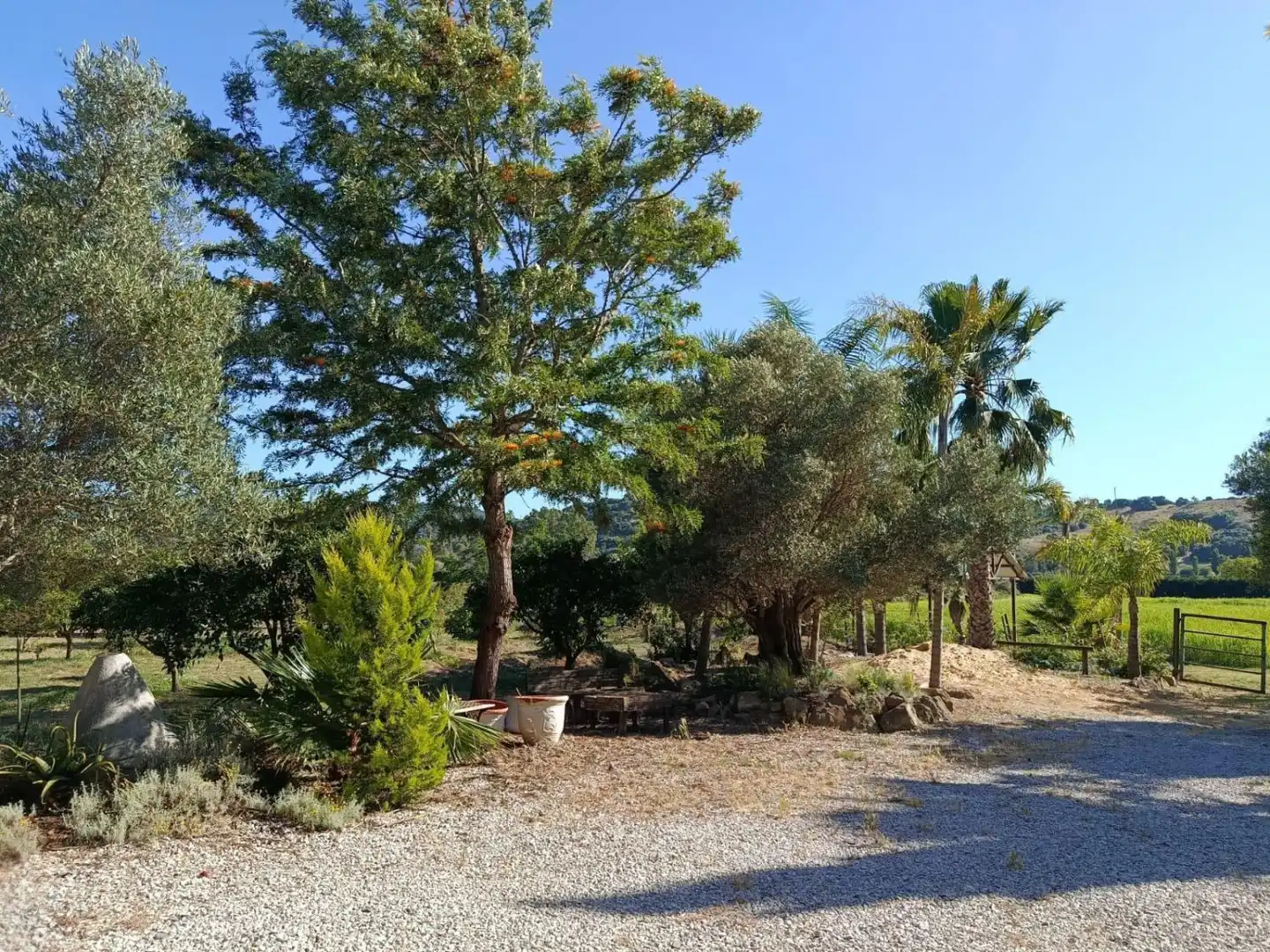 Casa rústica amb piscina en venda a San Martín del Tesorillo, imagen 49