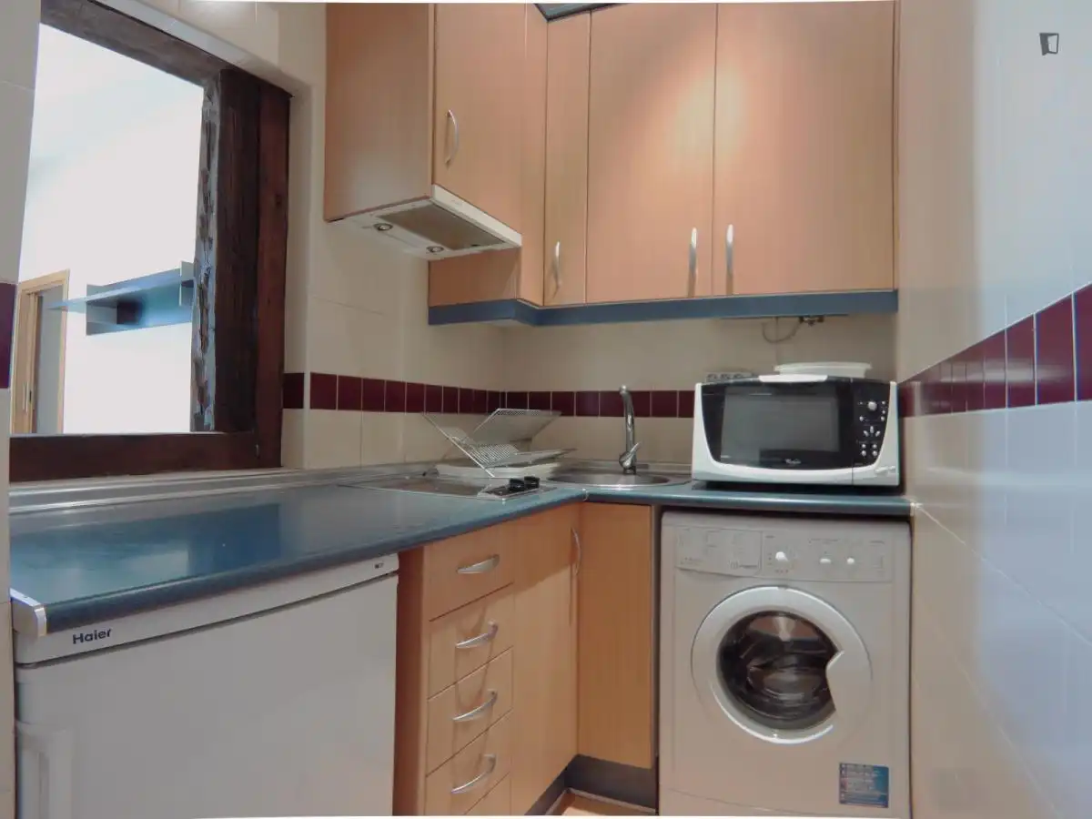 Apartamento en alquiler en Centro, imagen 16