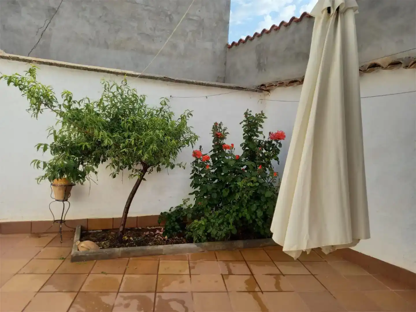 Terrassa de Casa adosada en venda en Torre de Juan Abad amb Balcó