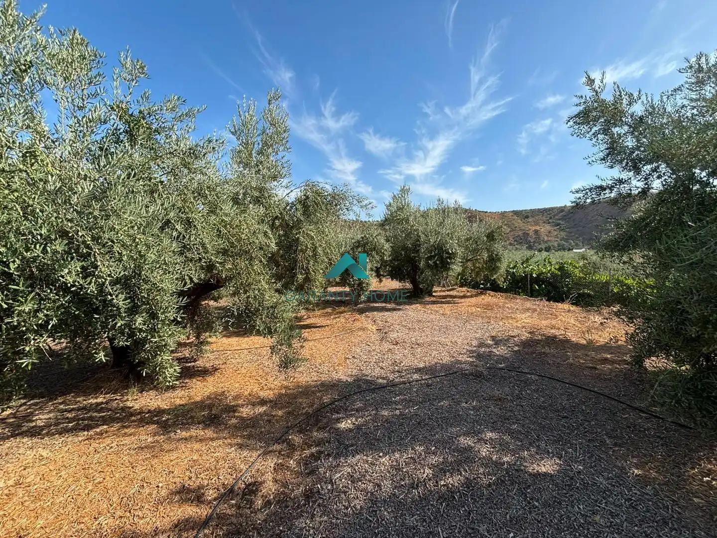 House with pool for sale in Alcaudete, imagen 36